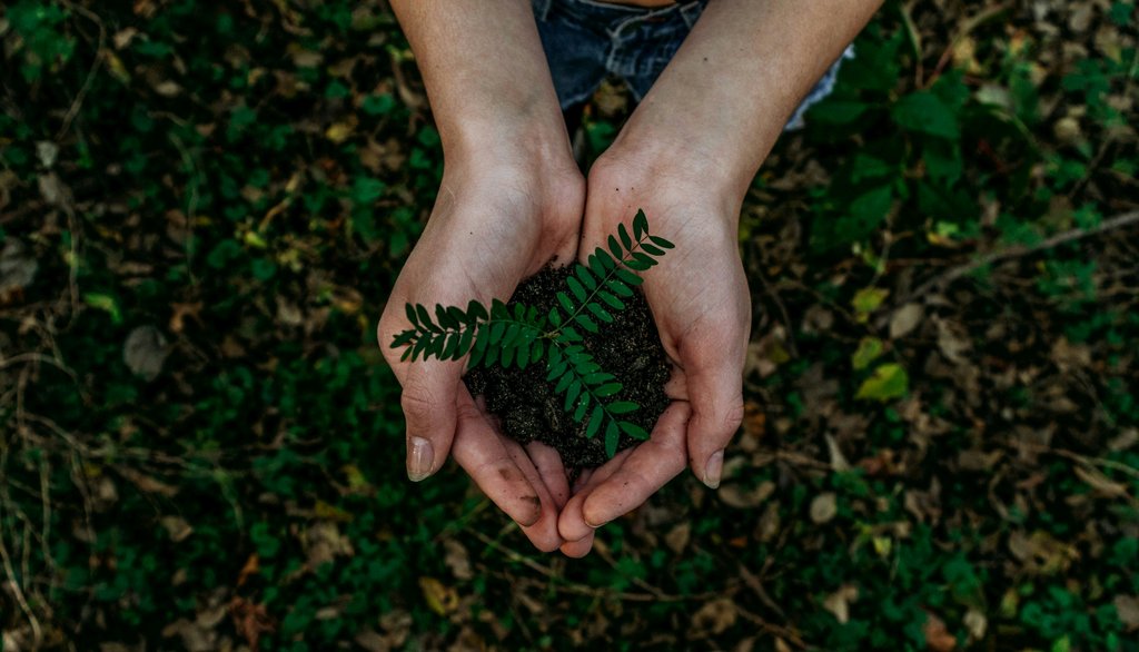 The Impact of Sustainable Laundry Systems on Environmental Conservation