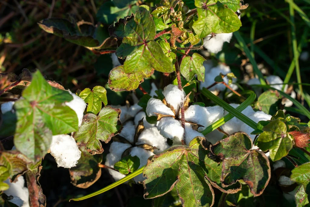 Supply Chain Inventory Management: Why Traceability Is Becoming Non-Negotiable in the Linen Sector